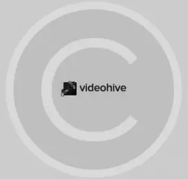 Video Hive