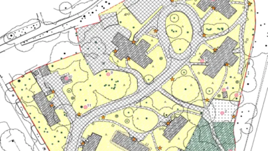 Bat Surveys and Ecological Input into Feasibility Design