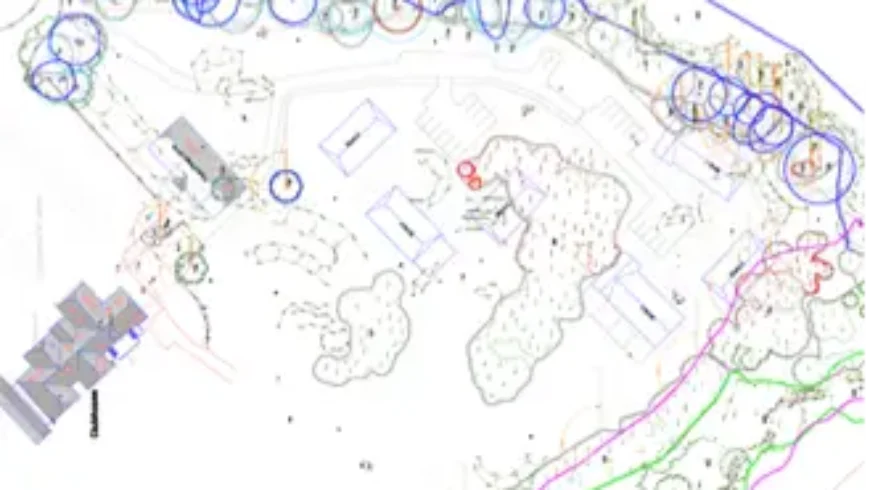 Ecology and Arboricultural Surveys, and Site Enhancement Strategy